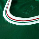 Camisa Palmeiras I Puma 26/27 Torcedor C/Patrocínio Verde